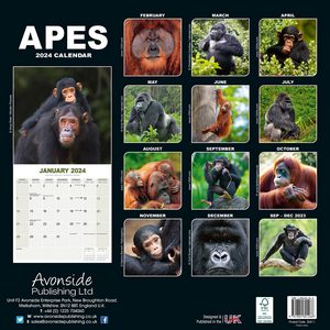 Apes 2024 Calendar