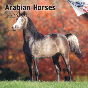 Arabian Horses 2024 Calendar