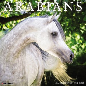 Arabians 2024 Calendar