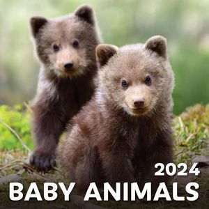 2024 Baby Animals Calendars
