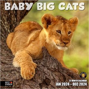 Baby Big Cats 2024 Wall Calendar
