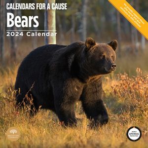 Bears 2024 Calendar
