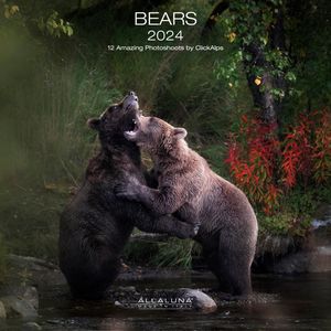 Bears 2024 Calendar