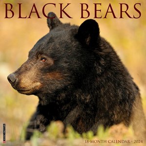 Black Bears 2024 Calendar