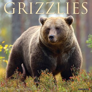 Grizzlies 2024 Calendar