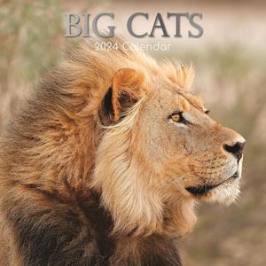 Big Cats 2024 Calendar