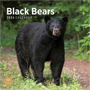 Black Bears 2024 Calendar