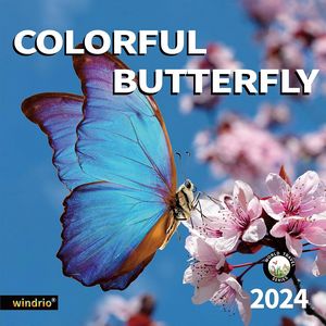 Colorful Butterfly 2024 Wall Calendar