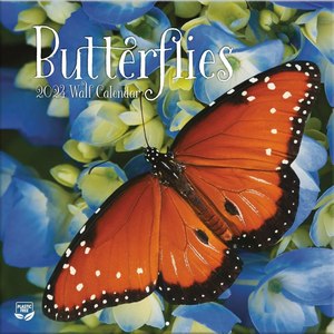 Butterflies 2024 Calendar