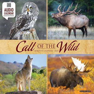 Call of The Wild 2024 Calendar