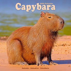 Capybara 2024 Calendar