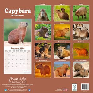 Capybara 2024 Calendar