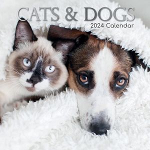 Cats & Dogs 2024 Calendar