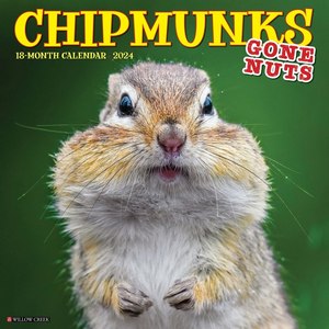 Chipmunks 2024 Calendar