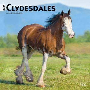 Clydesdales 2024 Calendar
