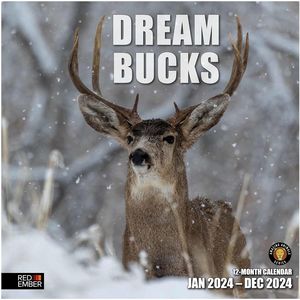 Dream Bucks 2024 Calendar