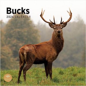 Bucks 2024 Calendar