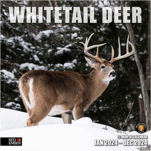 Whitetail Deer 2024 Calendar