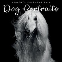 Dog Portraits 2024 Calendar