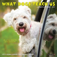 What Dogs Teach Us 2024 Calendar