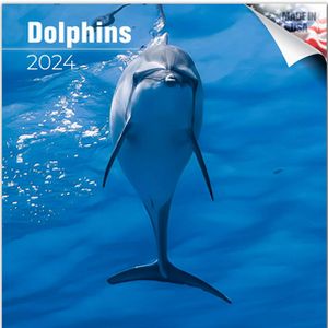 Dolphins 2024 Calendar