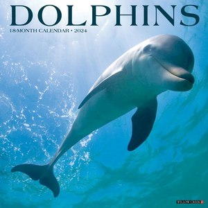 Dolphins 2024 Calendar