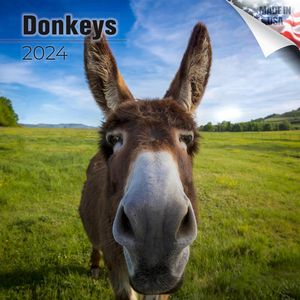 Donkeys 2024 Calendar