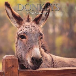 Donkeys 2024 Wall Calendar