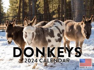 Donkeys 2024 Calendar