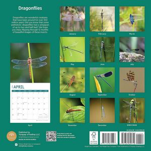 Dragonflies 2024 Wall Calendar