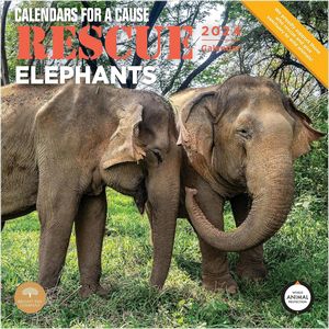 Rescue Elephants 2024 Calendar