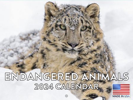 Endangered Animals 2024 Calendar