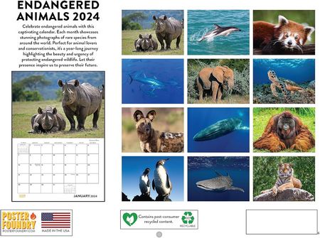 Endangered Animals 2024 Calendar