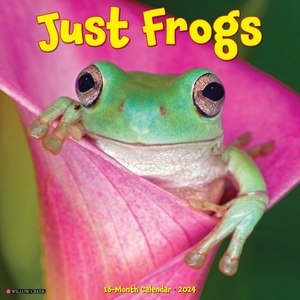 Just Frogs 2024 Calendar