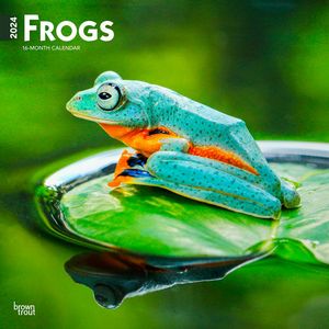 Frogs 2024 Calendar
