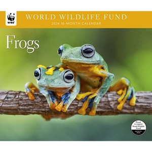 Frogs 2024 Calendar