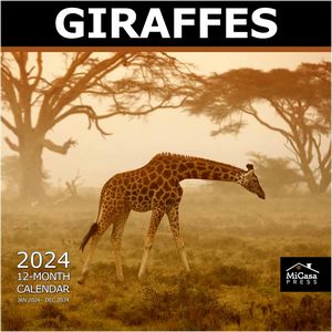 Giraffes 2024 Calendar