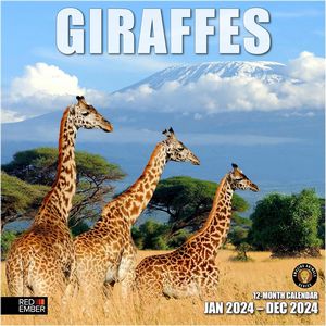 Giraffes 2024 Wall Calendar