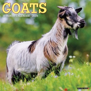 Goats 2024 Calendar