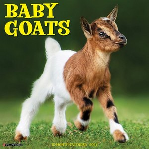 Baby Goats 2024 Calendar