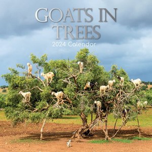 Goats in Trees 2024 Calendar