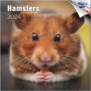 Hamsters 2024 Wall Calendar
