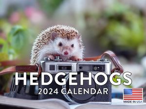 Hedgehogs 2024 Calendar