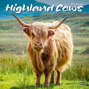 Highland Cows 2024 Calendar