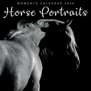 Horse Portraits 2024 Calendar