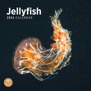 Jellyfish 2024 Calendar
