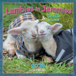 Lambies in Jammies 2024 Mini Wall Calendar