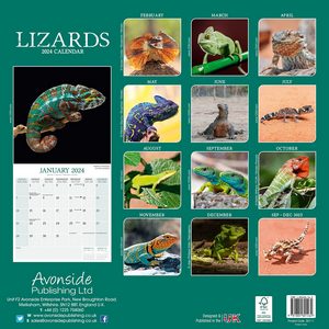Lizards 2024 Calendar