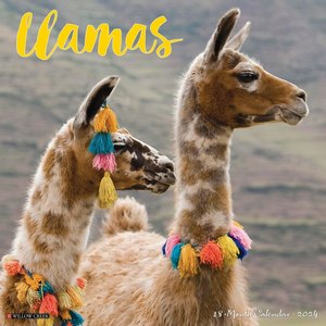 Llamas 2024 Calendar