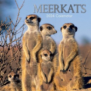 Meerkats 2024 Calendar